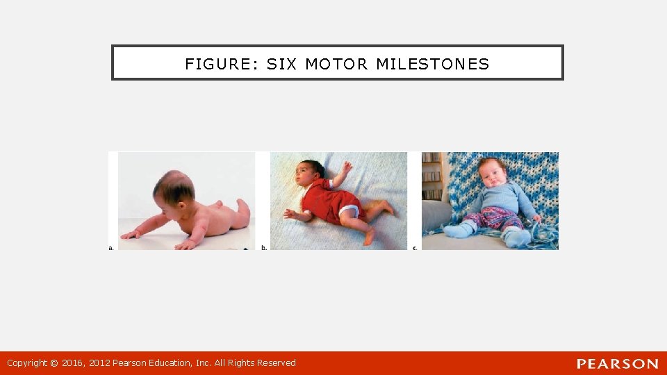FIGURE: SIX MOTOR MILESTONES Copyright © 2016, 2012 Pearson Education, Inc. All Rights Reserved