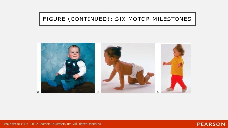 FIGURE (CONTINUED): SIX MOTOR MILESTONES Copyright © 2016, 2012 Pearson Education, Inc. All Rights