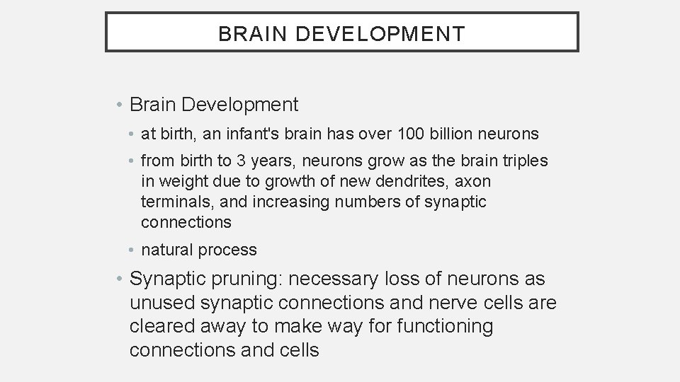 BRAIN DEVELOPMENT • Brain Development • at birth, an infant's brain has over 100