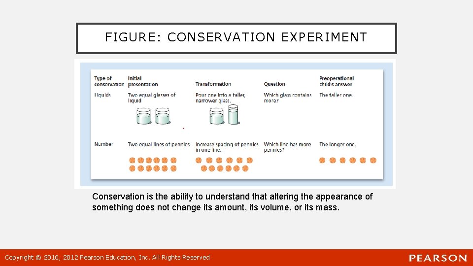 FIGURE: CONSERVATION EXPERIMENT Conservation is the ability to understand that altering the appearance of