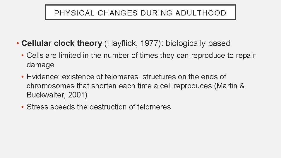 PHYSICAL CHANGES DURING ADULTHOOD • Cellular clock theory (Hayflick, 1977): biologically based • Cells