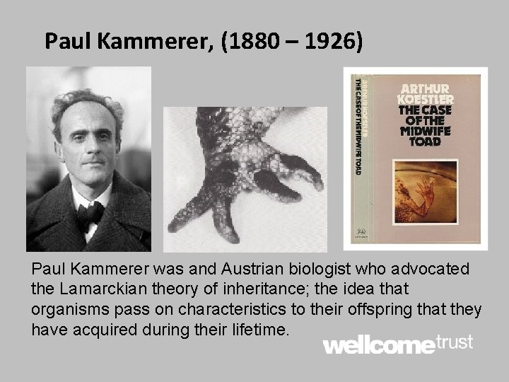 Paul Kammerer, (1880 – 1926) Paul Kammerer was and Austrian biologist who advocated the