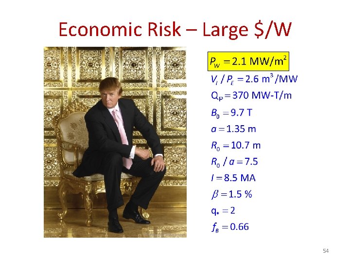 Economic Risk – Large $/W 54 Economic Risk – Large $/W 54