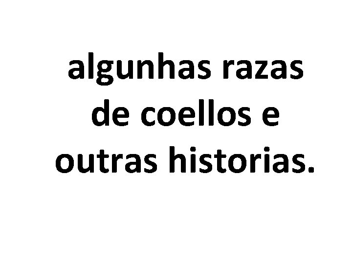 algunhas razas de coellos e outras historias. 