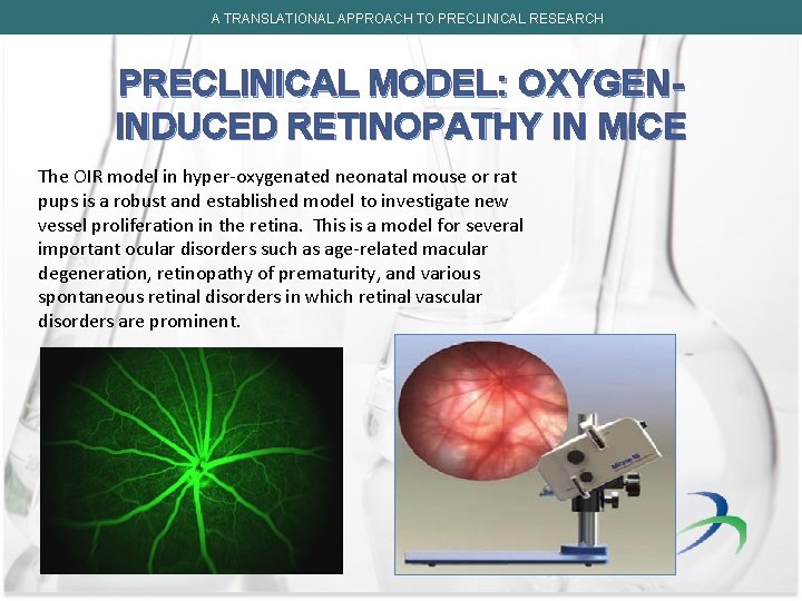 A TRANSLATIONAL APPROACH TO PRECLINICAL RESEARCH PRECLINICAL MODEL: OXYGENINDUCED RETINOPATHY IN MICE The OIR