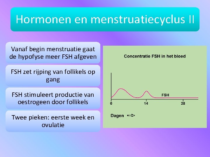 Hormonen en menstruatiecyclus II Vanaf begin menstruatie gaat de hypofyse meer FSH afgeven FSH