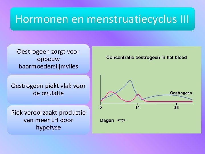 Hormonen en menstruatiecyclus III Oestrogeen zorgt voor opbouw baarmoederslijmvlies Oestrogeen piekt vlak voor de