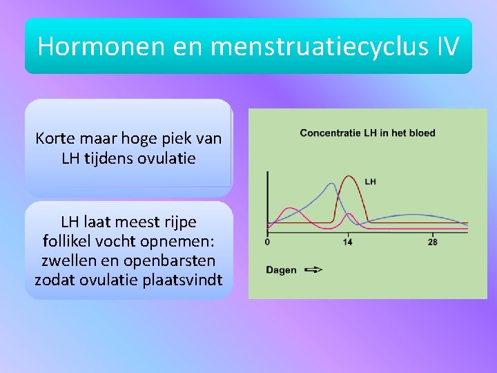 Hormonen en menstruatiecyclus IV Korte maar hoge piek van LH tijdens ovulatie LH laat