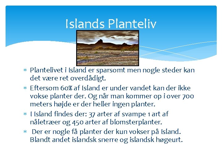 Islands Plantelivet i Island er sparsomt men nogle steder kan det være ret overdådigt. Islands Plantelivet i Island er sparsomt men nogle steder kan det være ret overdådigt.