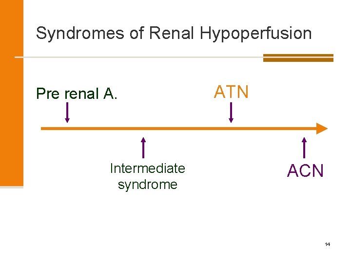 Syndromes of Renal Hypoperfusion Pre renal A. Intermediate syndrome ATN ACN 14 