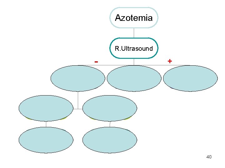 Azotemia R. Ultrasound R. Size & parechyma + Hydronephrosis Small kidneys Thin cortex Nr.
