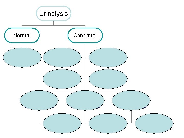 Urinalysis Normal Urine Electrolytes Abnormal WBC, WBC cast, Eosinophils Bacteria AIN Pyelonephritis RBC cast,