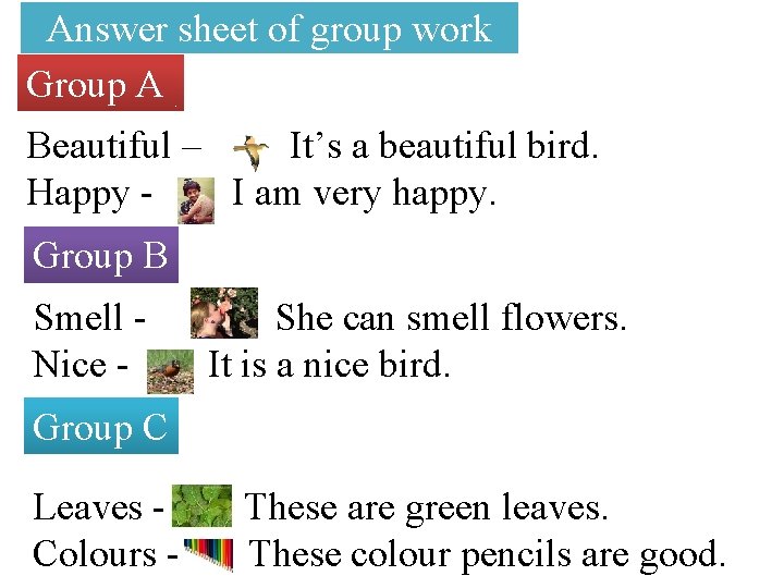 Answer sheet of group work Group A Beautiful – It’s a beautiful bird. Happy