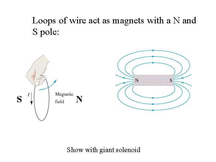 Loops of wire act as magnets with a N and S pole: S N