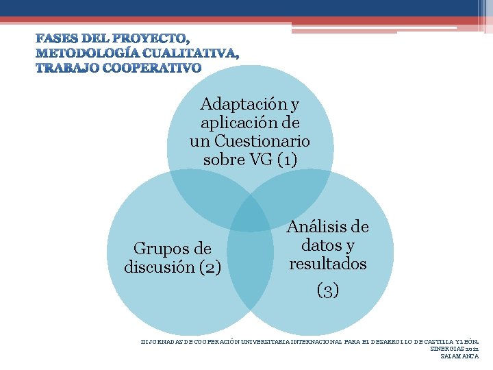 Adaptación y aplicación de un Cuestionario sobre VG (1) Grupos de discusión (2) Análisis