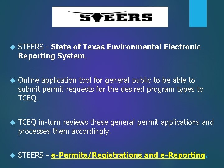  STEERS - State of Texas Environmental Electronic Reporting System. Online application tool for