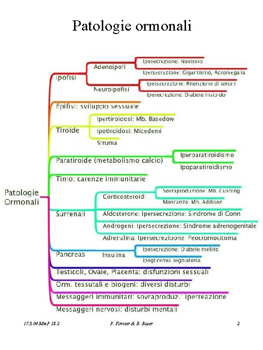 Patologie ormonali 17. 3. 04 Mm. P 18. 2 P. Forster & B. Buser