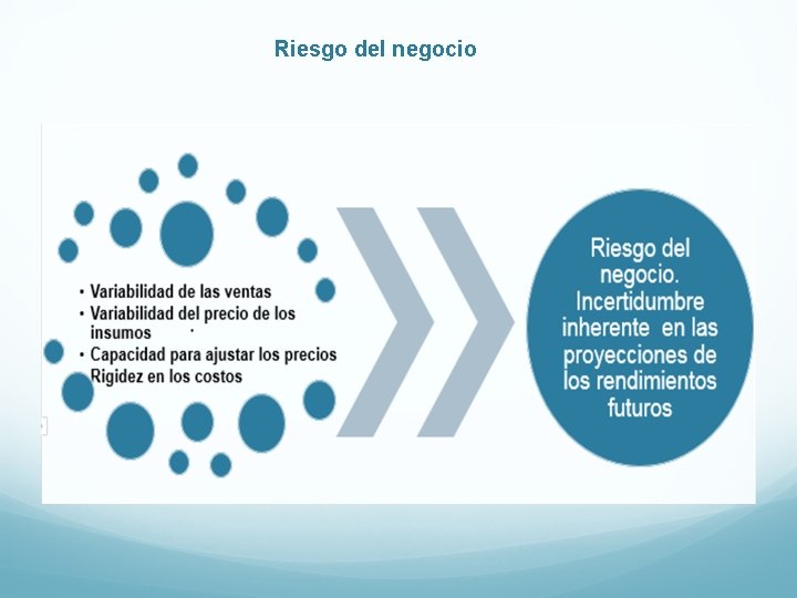 Riesgo del negocio 