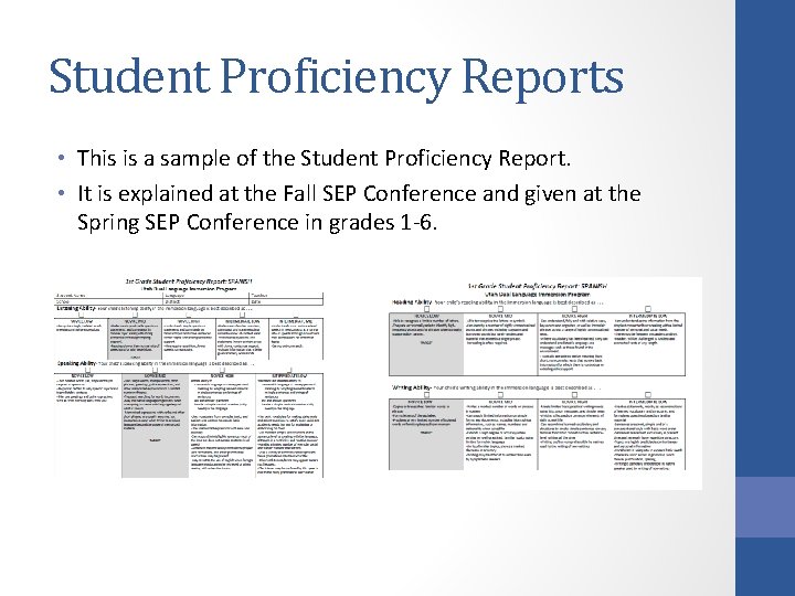 Student Proficiency Reports • This is a sample of the Student Proficiency Report. •