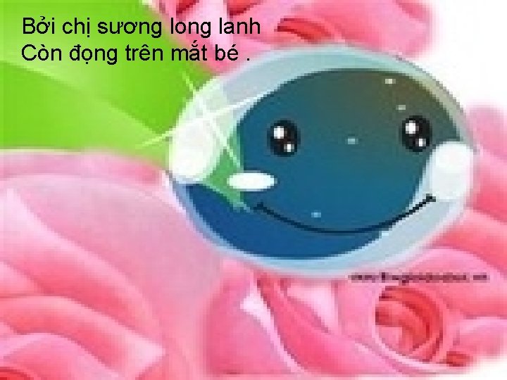 Bởi chị sương long lanh Còn đọng trên mắt bé. 