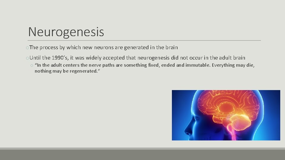 Neurogenesis o. The process by which new neurons are generated in the brain o.