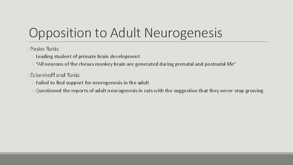 Opposition to Adult Neurogenesis o. Pasko Rakic o Leading student of primate brain development