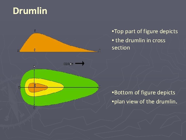 Drumlin • Top part of figure depicts • the drumlin in cross section •