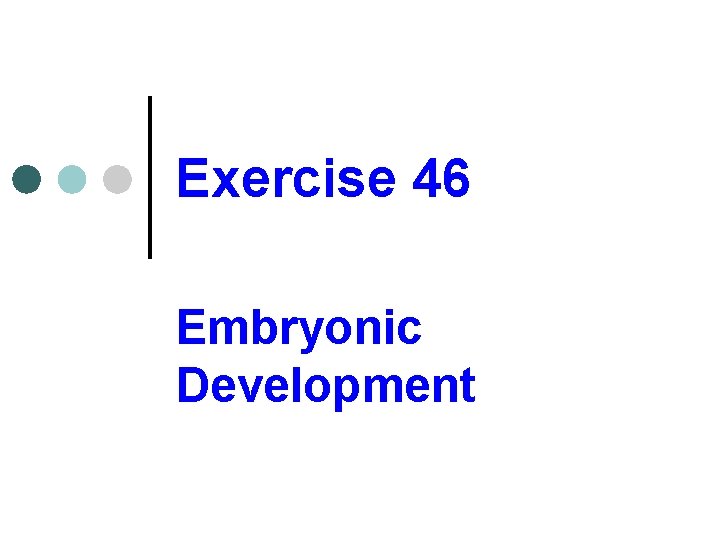 Exercise 46 Embryonic Development 