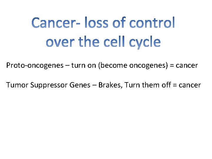 Proto-oncogenes – turn on (become oncogenes) = cancer Tumor Suppressor Genes – Brakes, Turn