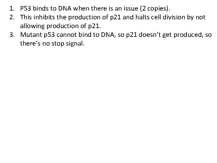1. P 53 binds to DNA when there is an issue (2 copies). 2.