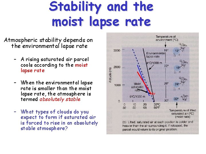 Stability and the moist lapse rate Atmospheric stability depends on the environmental lapse rate