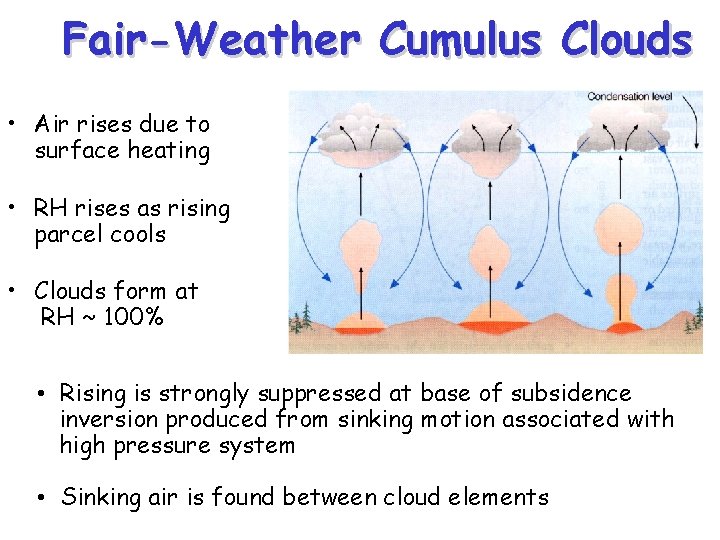 Fair-Weather Cumulus Clouds • Air rises due to surface heating • RH rises as