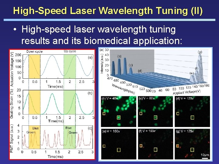 High-Speed Laser Wavelength Tuning (II) • High-speed laser wavelength tuning results and its biomedical