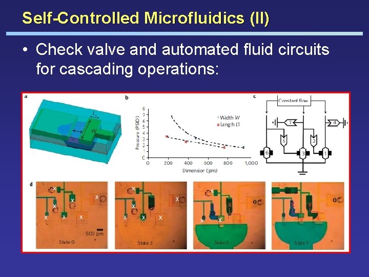 Self-Controlled Microfluidics (II) • Check valve and automated fluid circuits for cascading operations: 