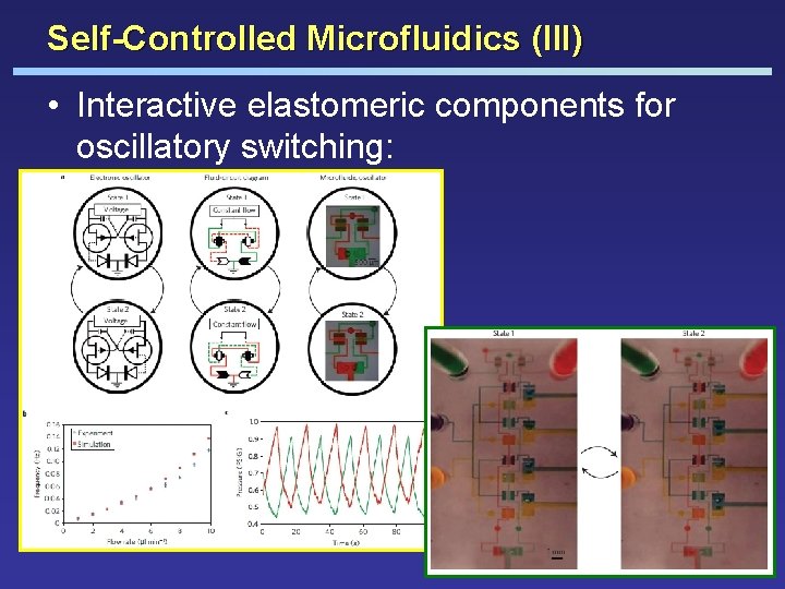 Self-Controlled Microfluidics (III) • Interactive elastomeric components for oscillatory switching: 