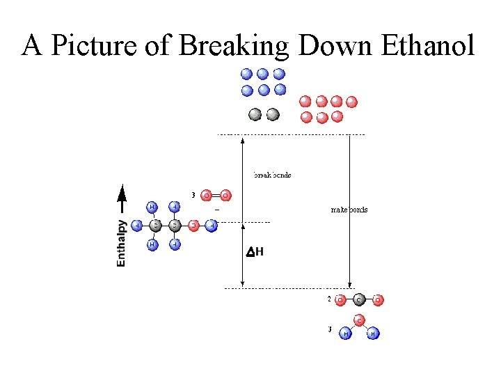 A Picture of Breaking Down Ethanol 