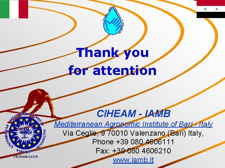 Thank you for attention CIHEAM - IAMB Mediterranean Agronomic Institute of Bari - Italy