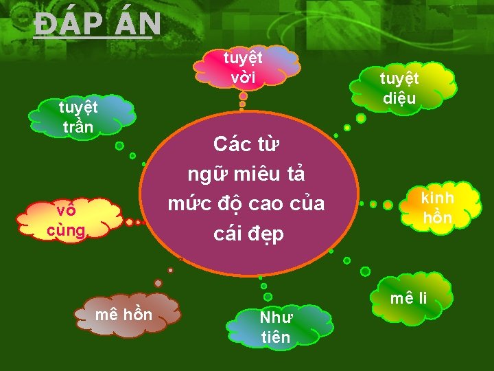 ĐÁP ÁN tuyệt vời tuyệt trần vô cùng mê hồn Các từ ngữ miêu