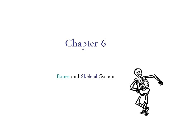 Chapter 6 Bones and Skeletal System 