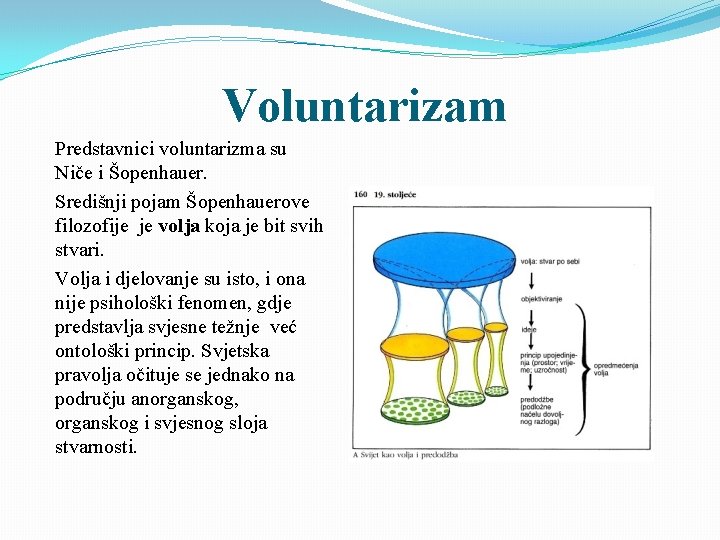 Voluntarizam Predstavnici voluntarizma su Niče i Šopenhauer. Središnji pojam Šopenhauerove filozofije je volja koja