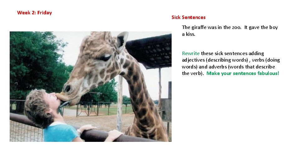 Week 2: Friday Sick Sentences The giraffe was in the zoo. It gave the