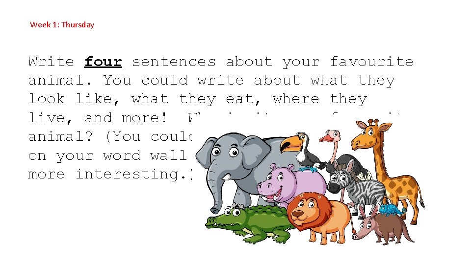 Week 1: Thursday Write four sentences about your favourite animal. You could write about