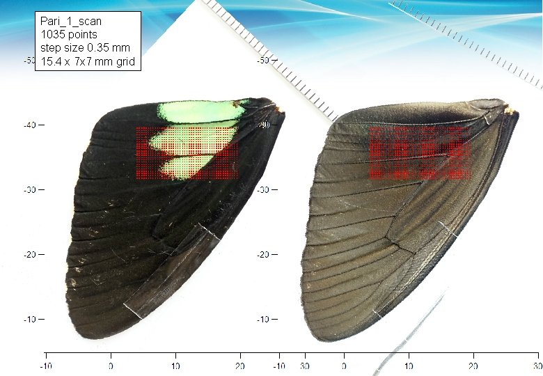 Pari_1_scan 1035 points step size 0. 35 mm 15. 4 x 7 x 7