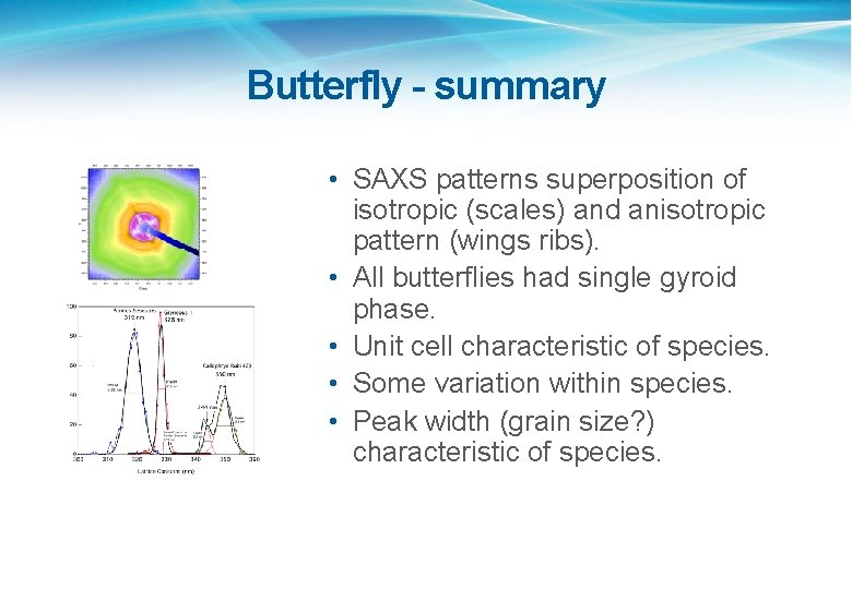 Butterfly - summary • SAXS patterns superposition of isotropic (scales) and anisotropic pattern (wings