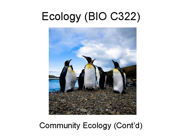 Ecology (BIO C 322) Community Ecology (Cont’d) 