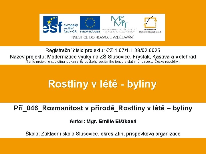 Registrační číslo projektu: CZ. 1. 07/1. 1. 38/02. 0025 Název projektu: Modernizace výuky na