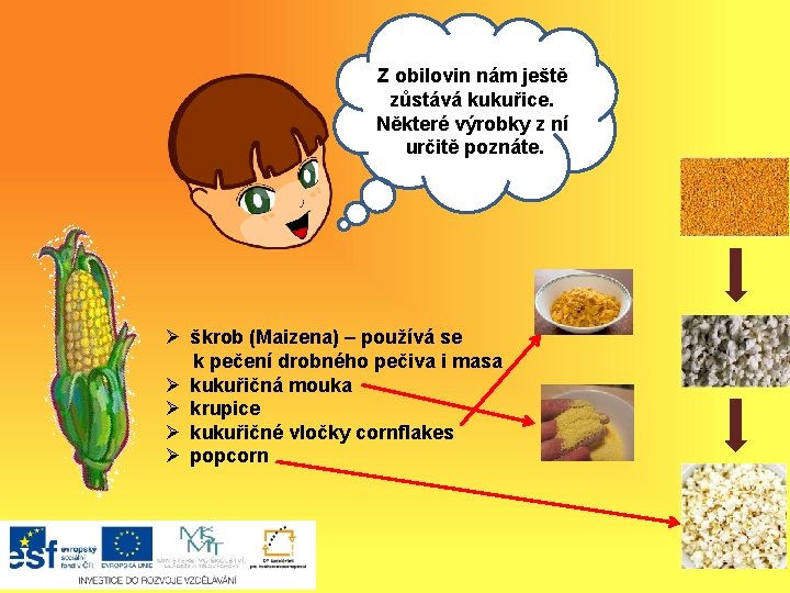 Z obilovin nám ještě zůstává Ahokukuřice. j, Některé výrobky z ní určitě poznáte. Ø