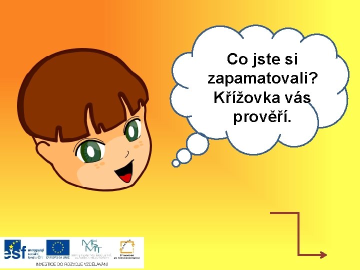 Co jste si zapamatovali? Ahoj, Křížovka vás prověří. 