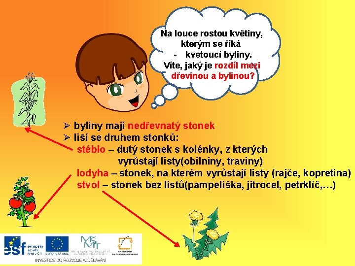 Na louce rostou květiny, kterým říká Ahose j, - kvetoucí byliny. Víte, jaký je