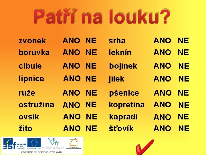 Patří na louku? zvonek borůvka ANO NE srha leknín ANO NE cibule ANO NE